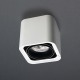 downlight
