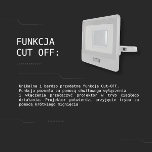 Naświetlacz IP65 LED 30W 2340lm 6500K VT-138S czujnik ruchu PIR