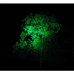 Reflektor Kaleidoscope LED 56W 30° IP65 światło zielone
