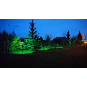 Oświetlenie drzew i krzwów światłem zielonym LED 10W