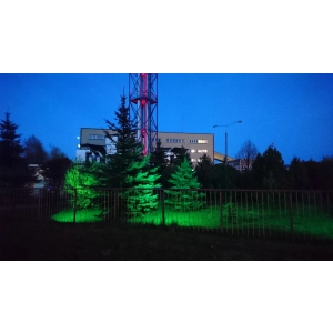 Oświetlenie drzew i krzwów światłem zielonym. Projektor LED 10W